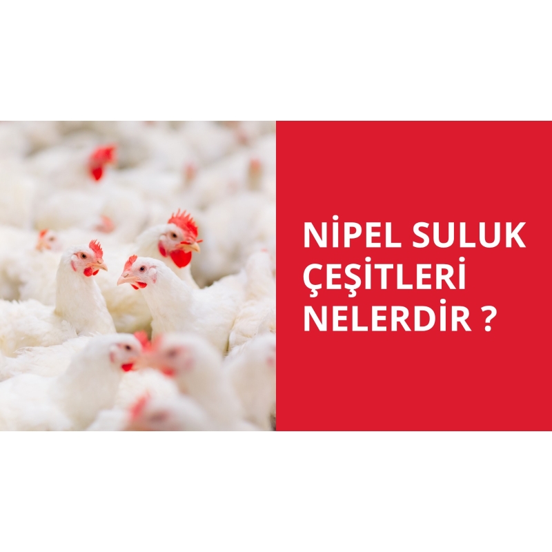 Nipel suluk çeşitleri nelerdir.