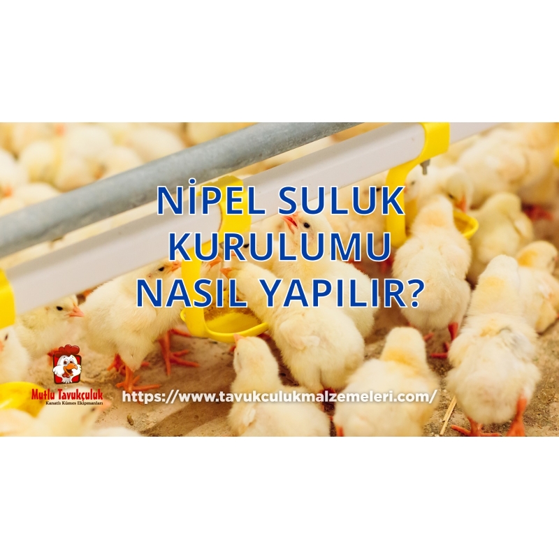 Nipel Suluk Kurulumu Nasıl Yapılır.