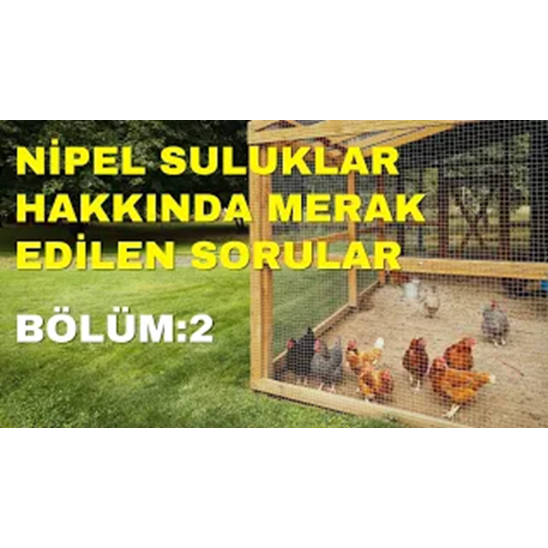 Nipel Suluklar Hakkında Merak Edilenler Part 2