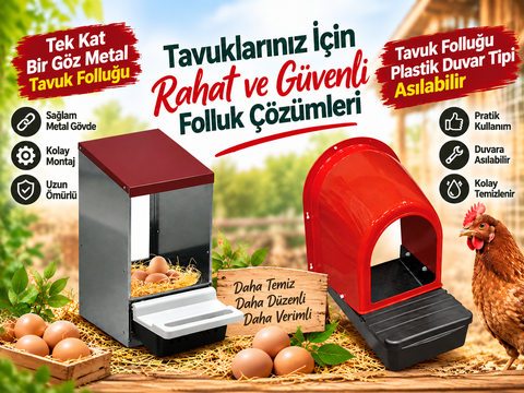 TAVUK FOLLUK