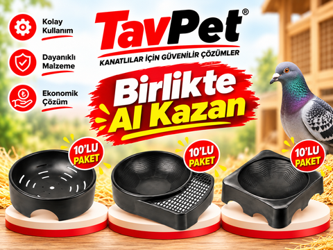 GÜVERCİN FOLLUKLARI