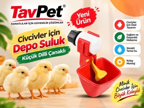 civciv depo suluk