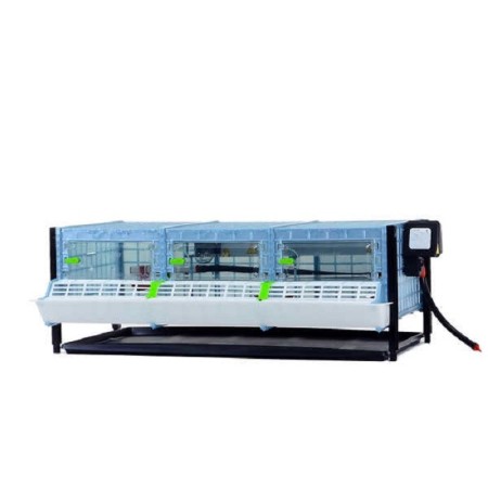 Civciv Büyütme Kafesi 25 Cm Maxi Kat Artırım 