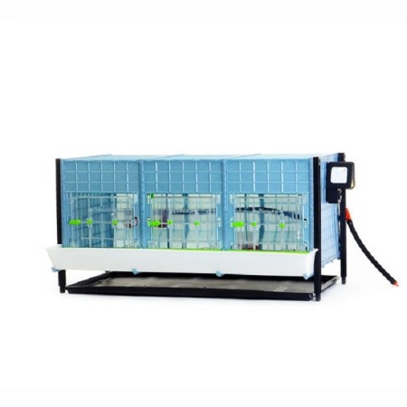 Civciv Büyütme Kafesi 40 Cm Maxi Kat Artırım