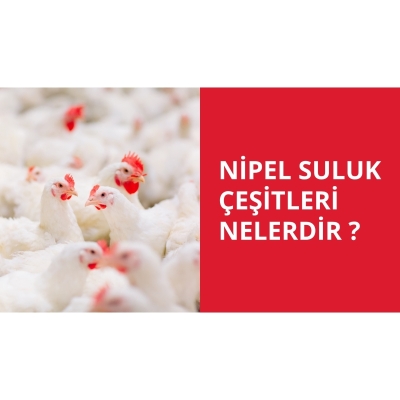 Nipel suluk çeşitleri nelerdir.
