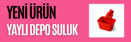 Yeni Nesil Suluk