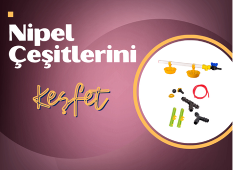 Nipel Sulukları