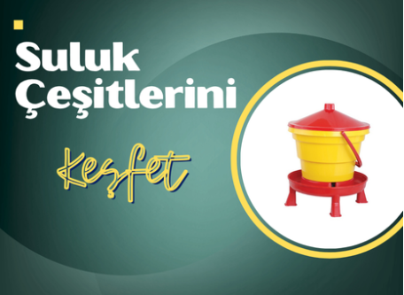 Suluk Gurubu