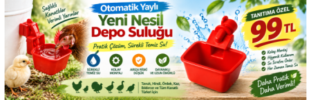 Yeni Nesil Suluk
