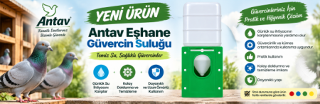 eşhane suluk