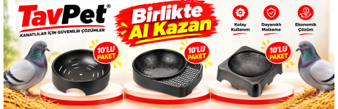 GÜVERCİN FOLLUKLARI