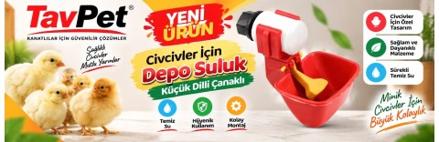 civciv depo suluk