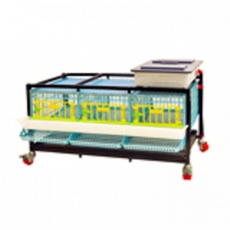 Bıldırcın Yetiştirme Kafesi Maxi