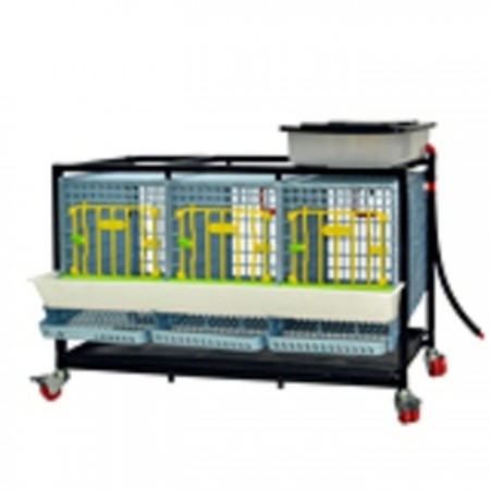 Keklik Yetiştirme Kafesi Maxi